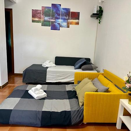 Appartamento La Casa Nostra 比萨 外观 照片