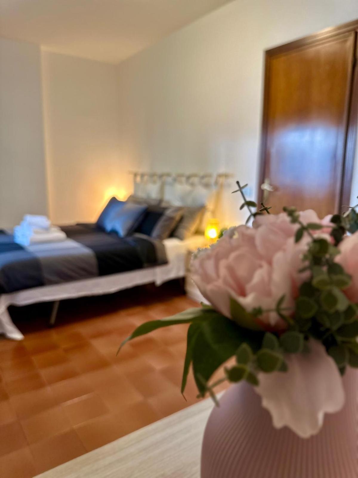 Appartamento La Casa Nostra 比萨 外观 照片